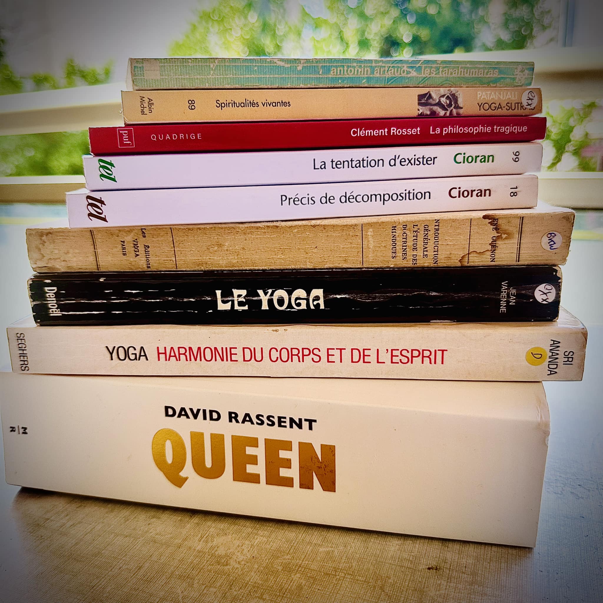 Et pendant que d'aucun s'étripent pour des fadaises, je vais cet été vérifier l'adage suivant sur les plages de la méditerranée où des lacs de l'arrière pays :
"Moins de réseaux, plus de cerveau."

Tous les livres sur le yoga et l'hindouisme étaient abandonnés à côté de là où je donne mes cours de chant. J'ai vu comme un appel dans l'insistance répétitive de ces quatre livres...